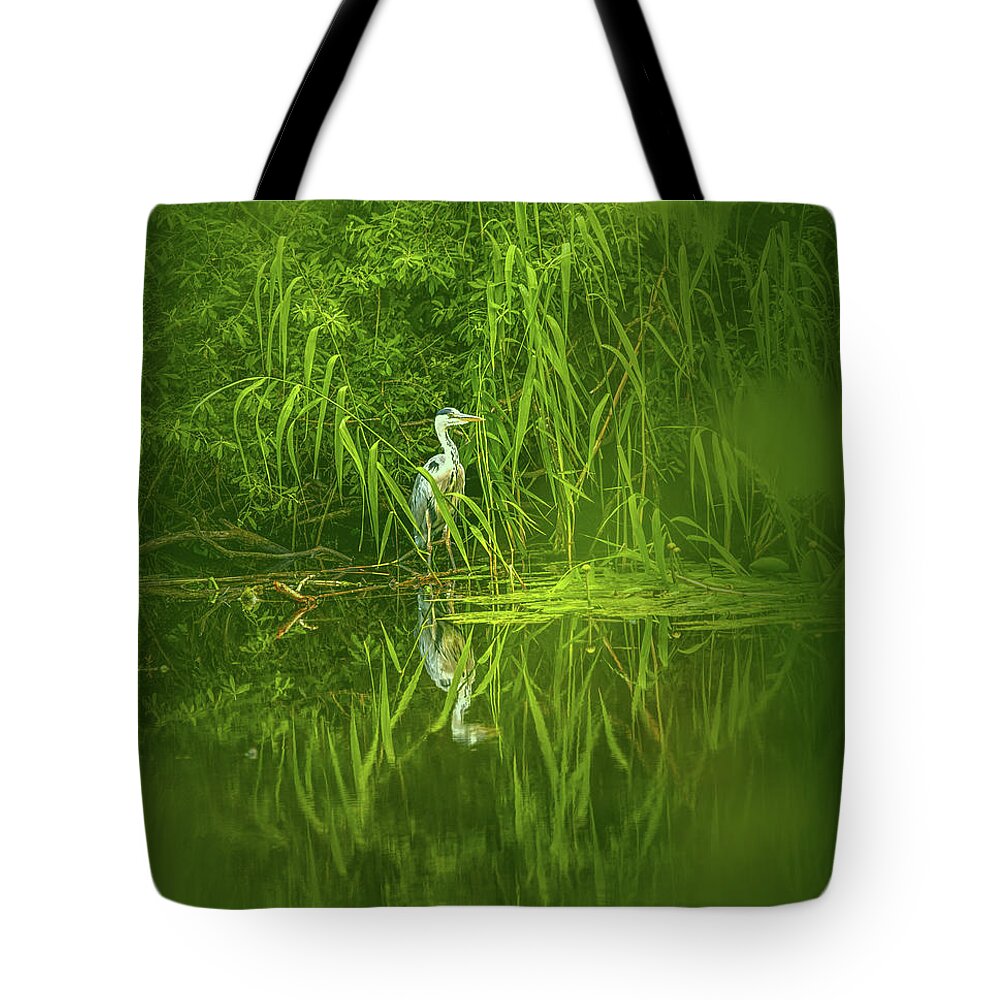 Nature Tote Bag featuring the photograph Fairy tale heron #g5 by Leif Sohlman