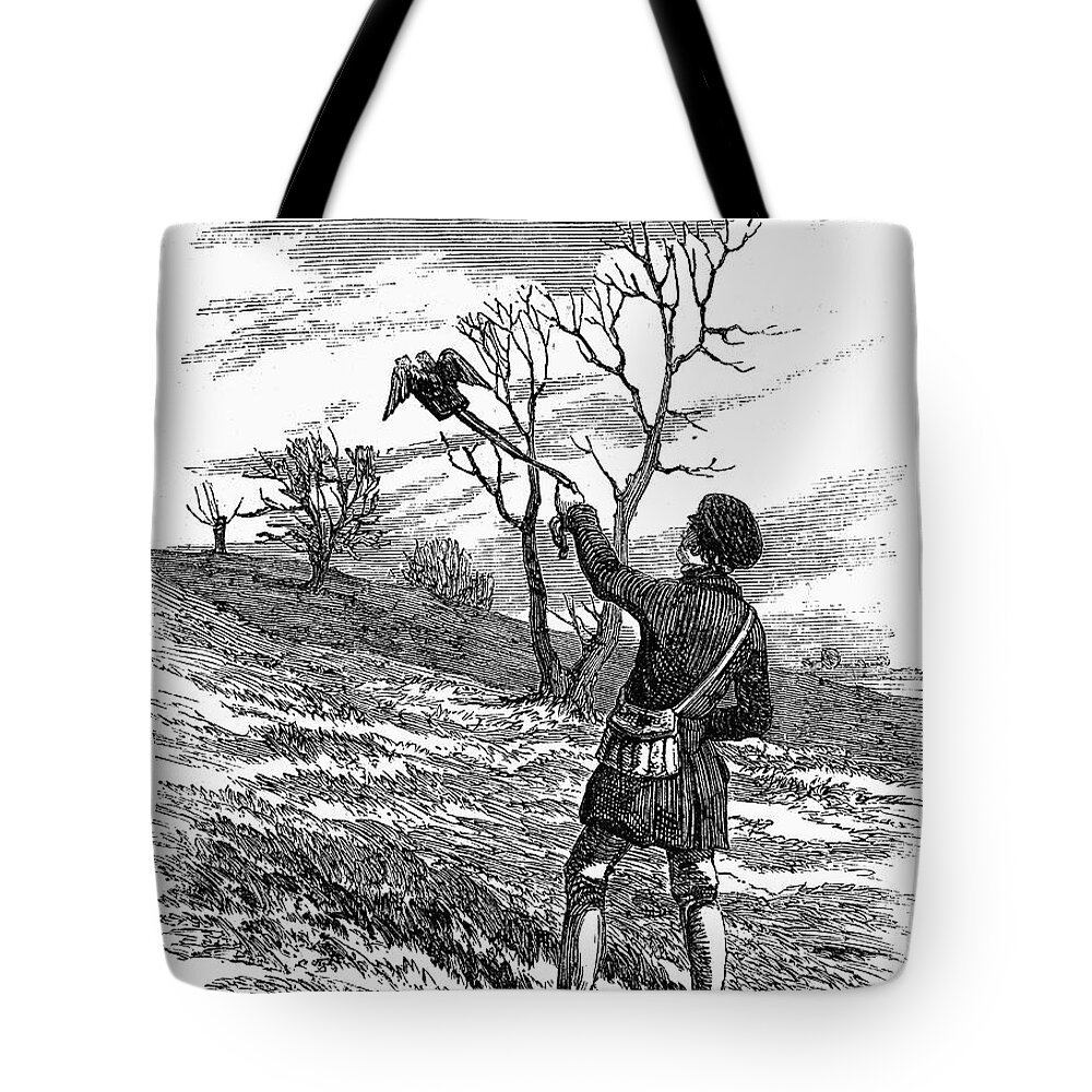 1850 Tote Bag featuring the photograph Falconry, 1850 by Granger