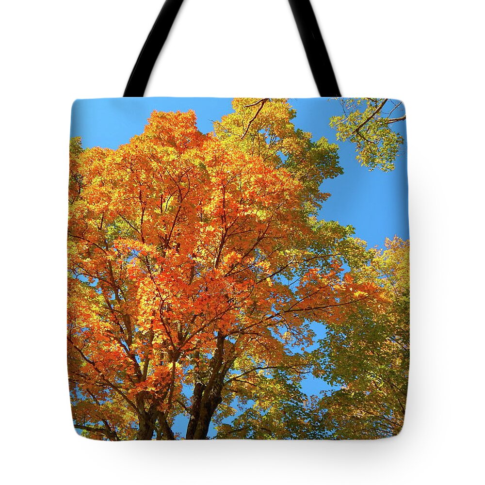 Landscape Tote Bag featuring the photograph Fall 2016 13 by George Ramos