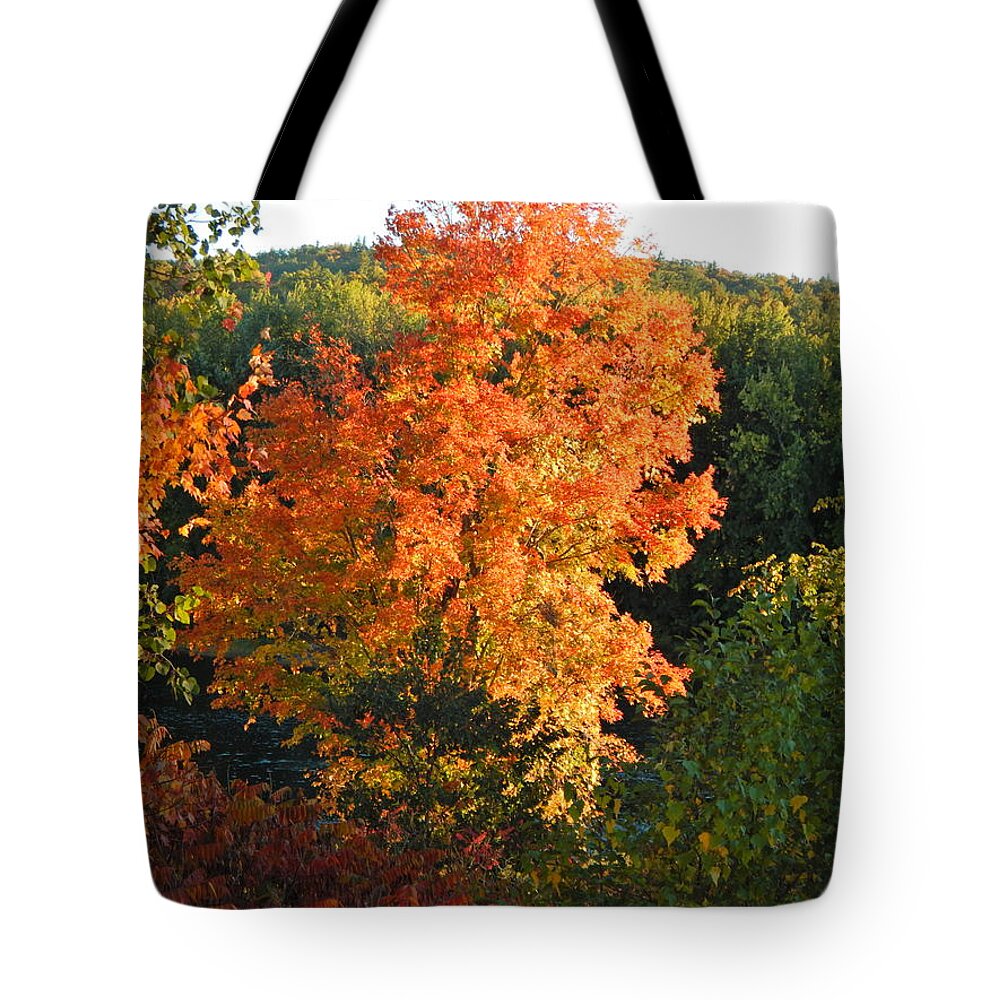 Landscape Tote Bag featuring the photograph Fall 2016 6 by George Ramos