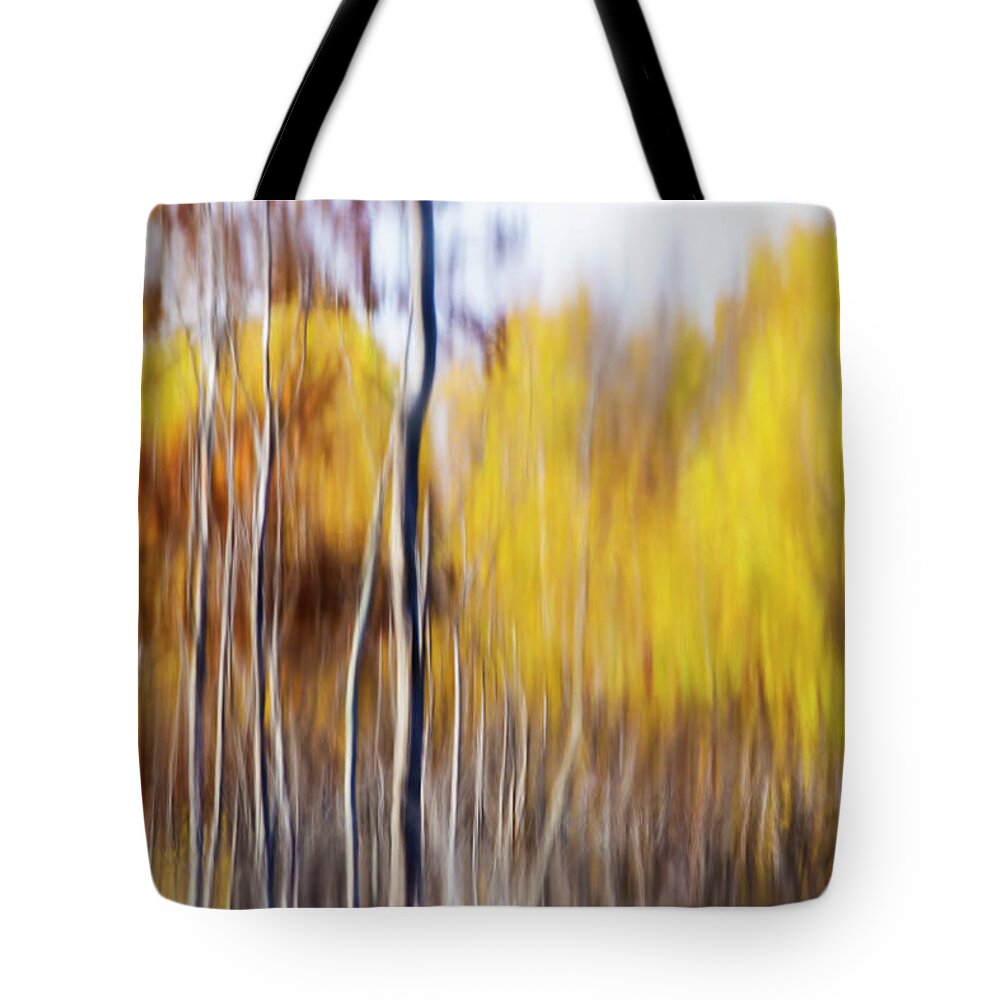 Abstract Tote Bag featuring the photograph Fall Abstract by Mircea Costina Photography