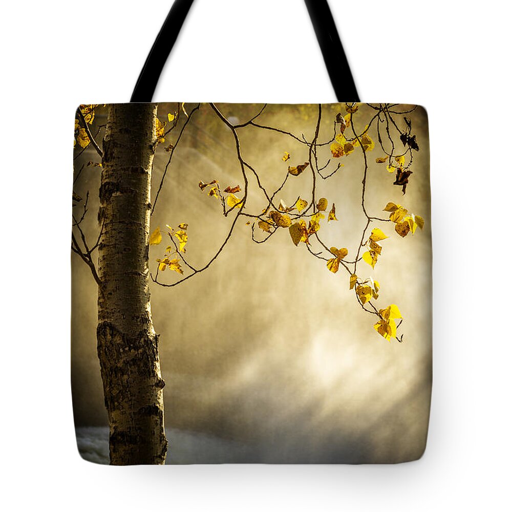 Autumn Tote Bag featuring the photograph Fall and Fog by Celso Bressan