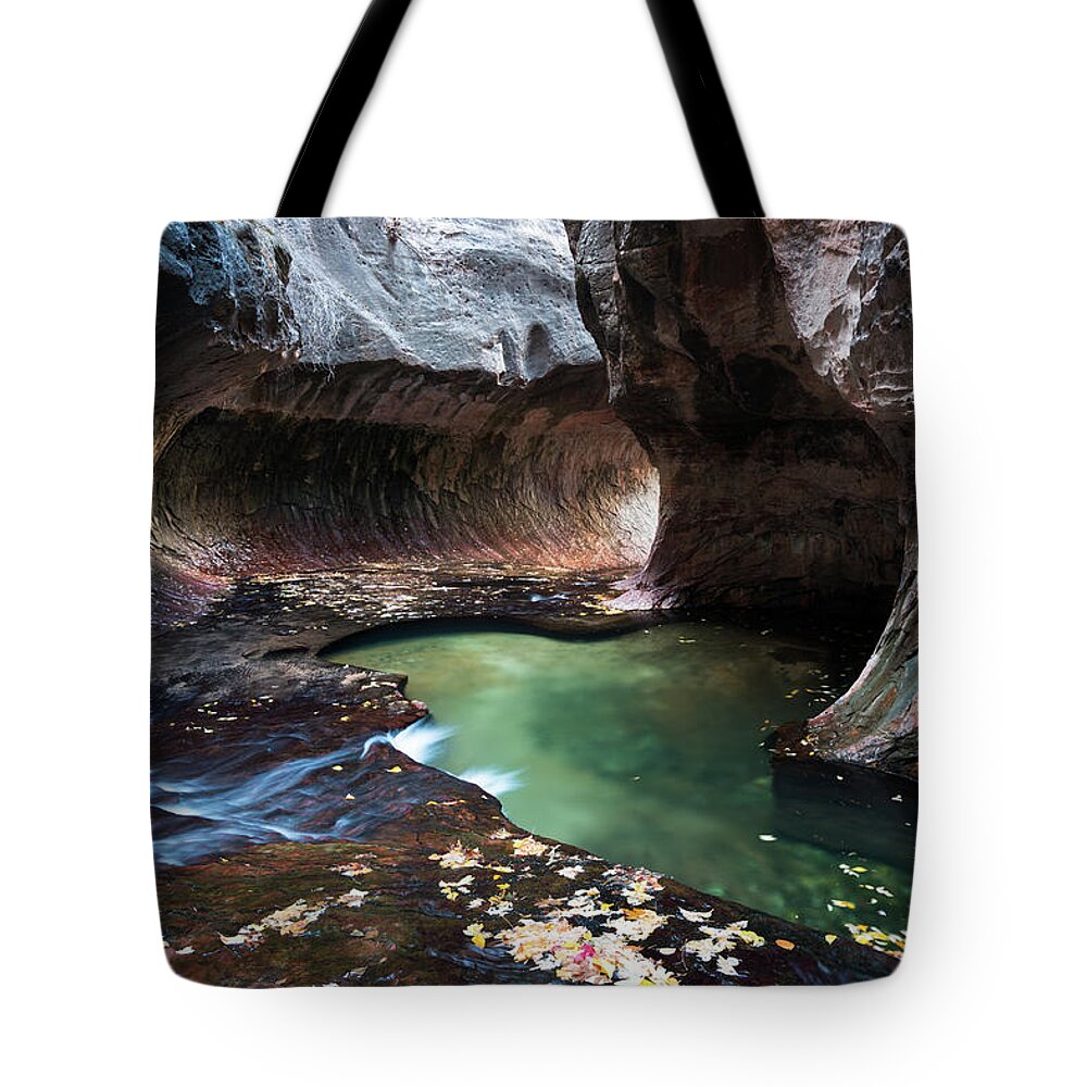 Zion National Park Tote Bag featuring the photograph Fall at The Subway by James Udall