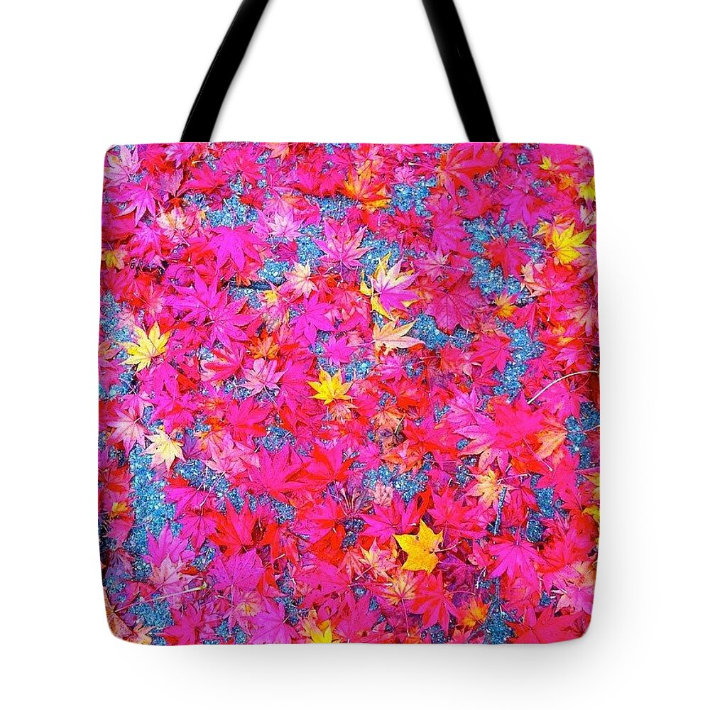 Leaves Tote Bag featuring the photograph Fallen Color by Kate Arsenault 
