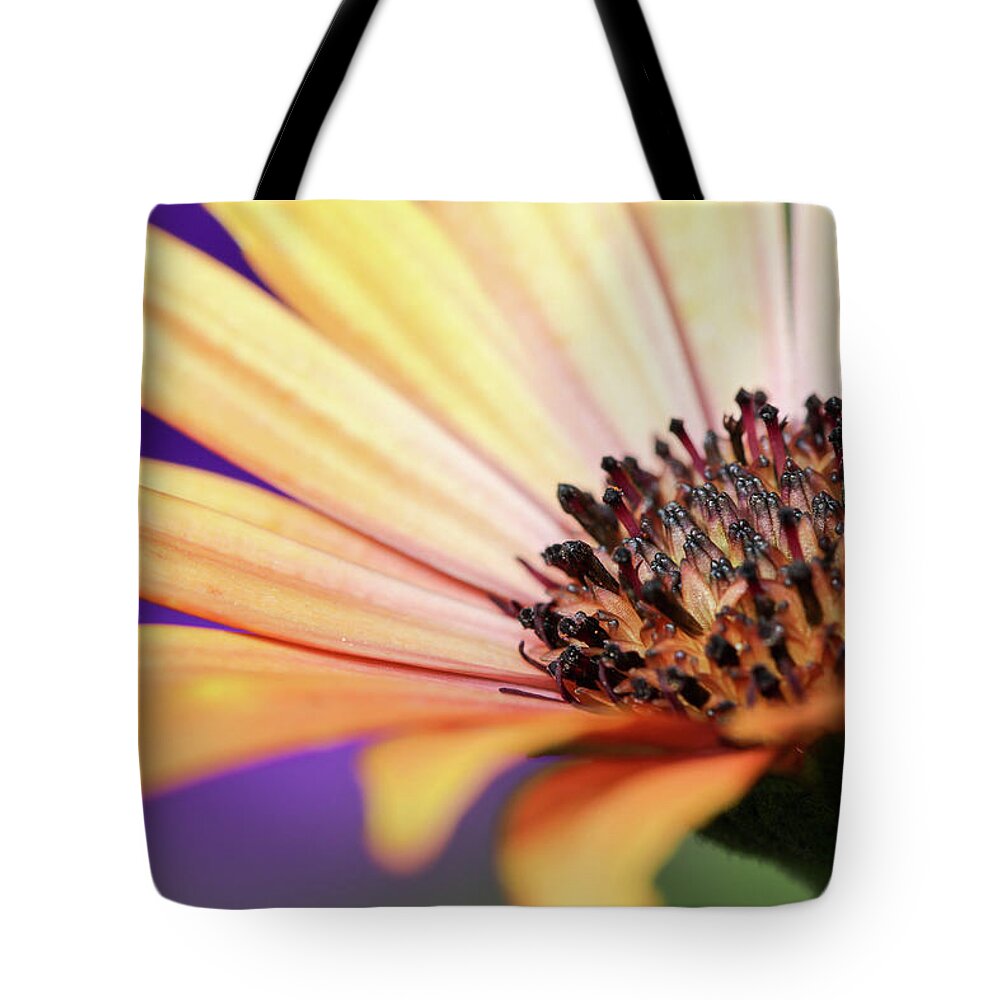 Fall Tote Bag featuring the photograph Fall Bloom by Mary Anne Delgado