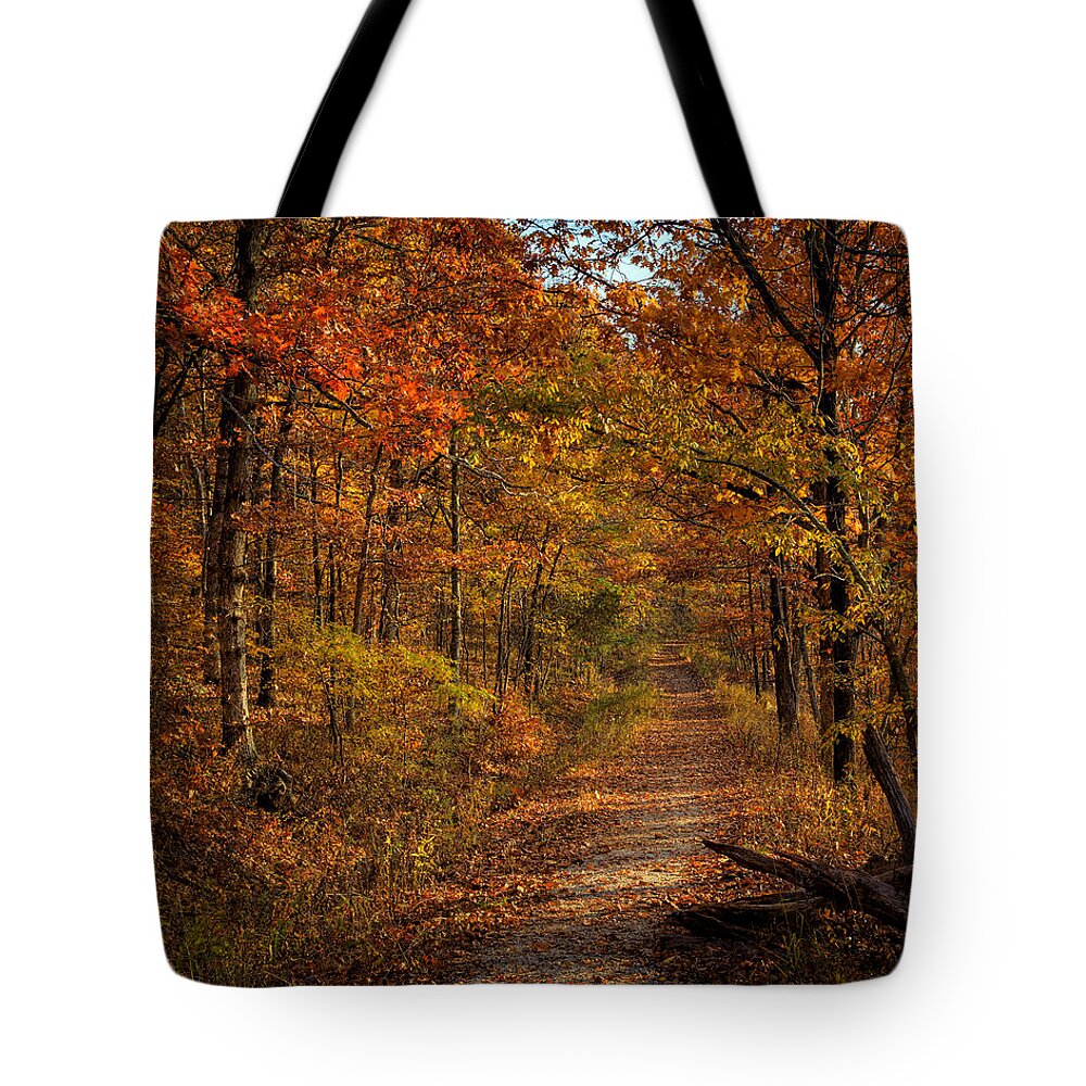 Fall Color Tote Bag featuring the photograph Fall Color at Centerpoint Trailhead by Michael Dougherty