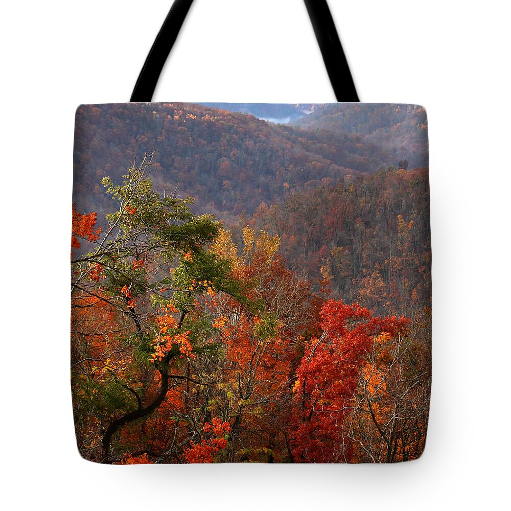 Ponca Tote Bag featuring the photograph Fall Color Ponca Arkansas by Michael Dougherty