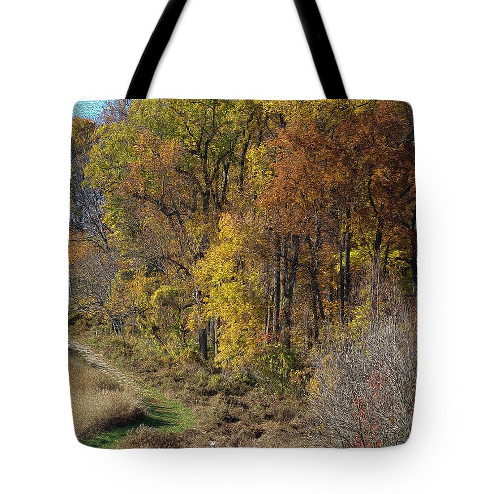 Landscape Tote Bag featuring the photograph Fall Colors as Oil by Paul Ross