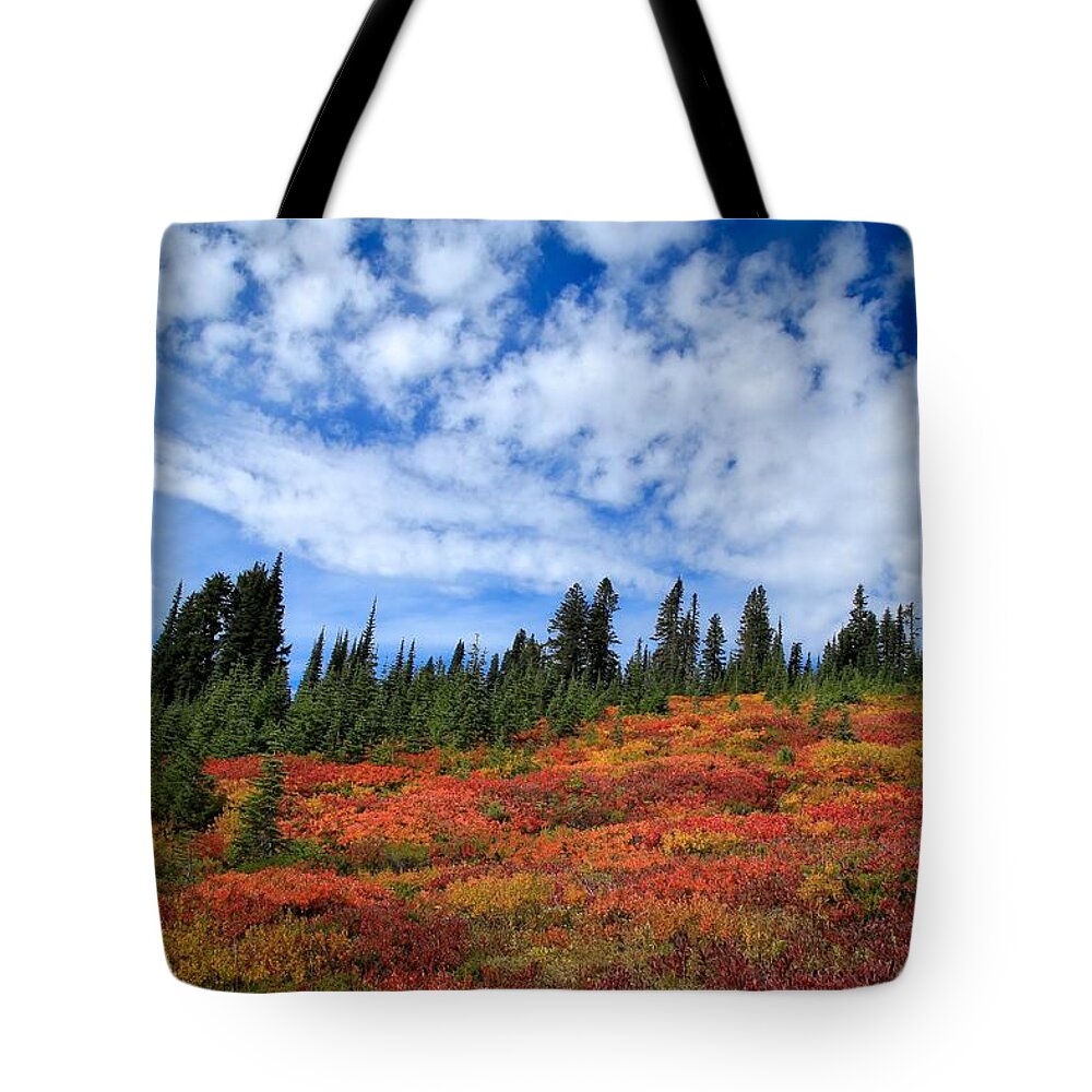 Fall Colors At Mount Rainier Tote Bag featuring the photograph Fall colors at Mount Rainier by Lynn Hopwood