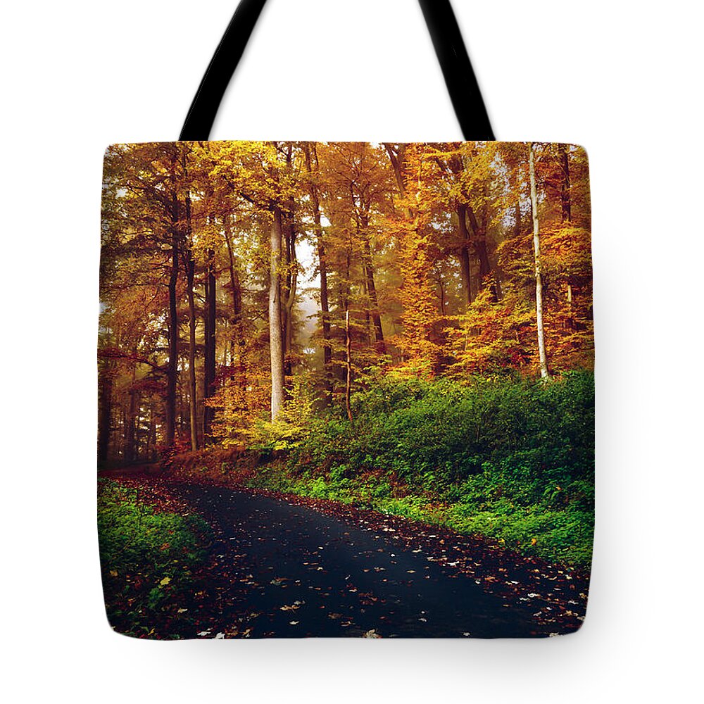 Bad Pyrmont Tote Bag featuring the photograph Fall Colors by Britten Adams