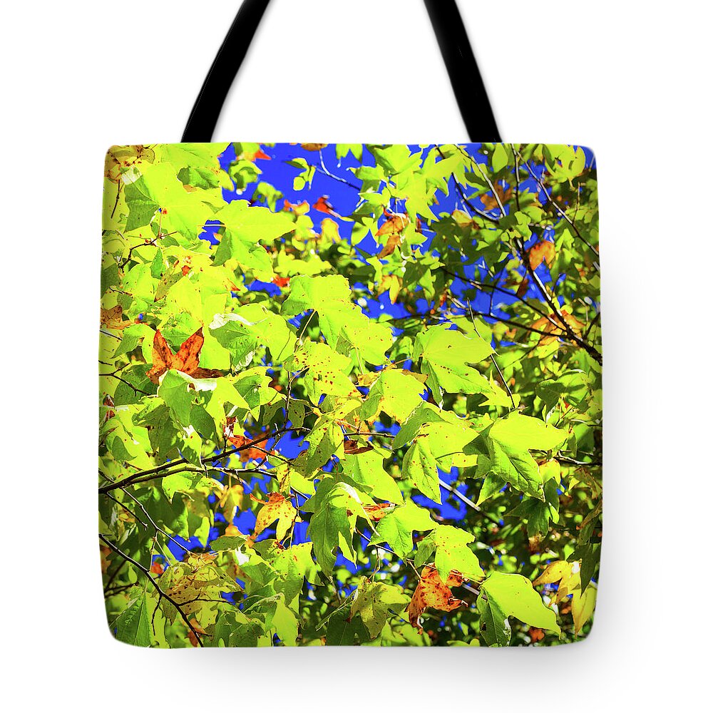 Arizona Tote Bag featuring the photograph Fall Colors II by Raul Rodriguez