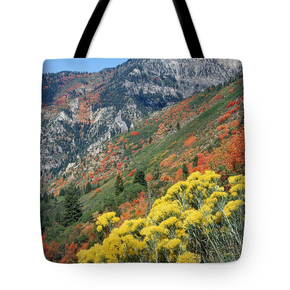 Fall Colors Tote Bag featuring the photograph 212M42-Fall Colors near Mt. Timpanogos by Ed Cooper Photography