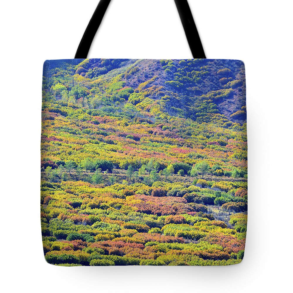 Colorado Tote Bag featuring the photograph Fall Colors on the Foothills of Glenwood Spring by Ray Mathis