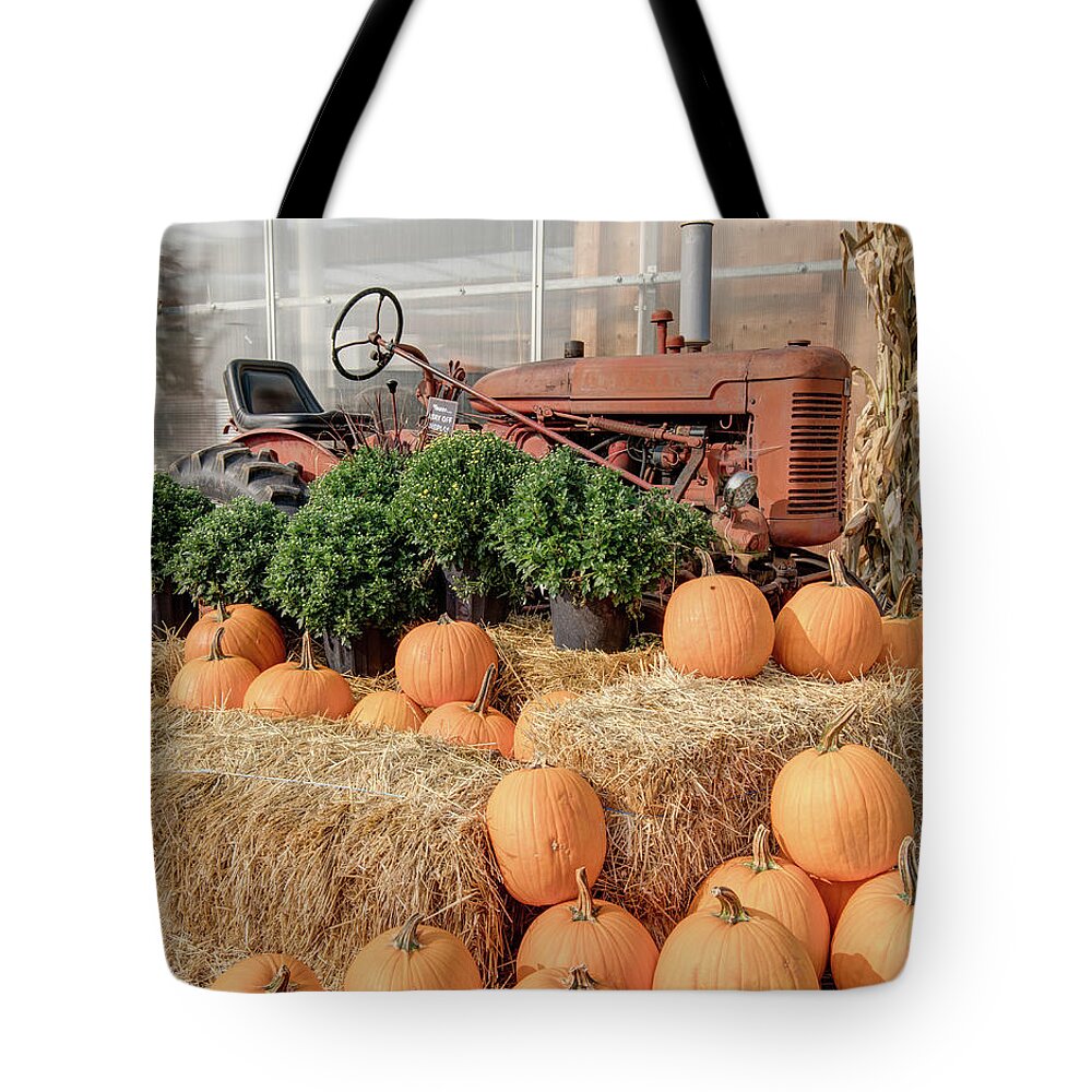 Fall Tote Bag featuring the photograph Fall display by Nick Mares