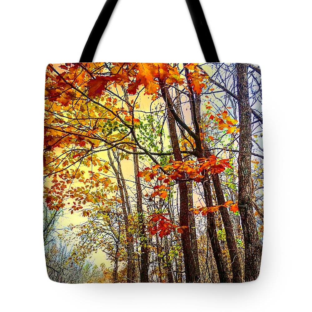 Fall Tote Bag featuring the photograph Fall Fantasy by Michael Oceanofwisdom Bidwell