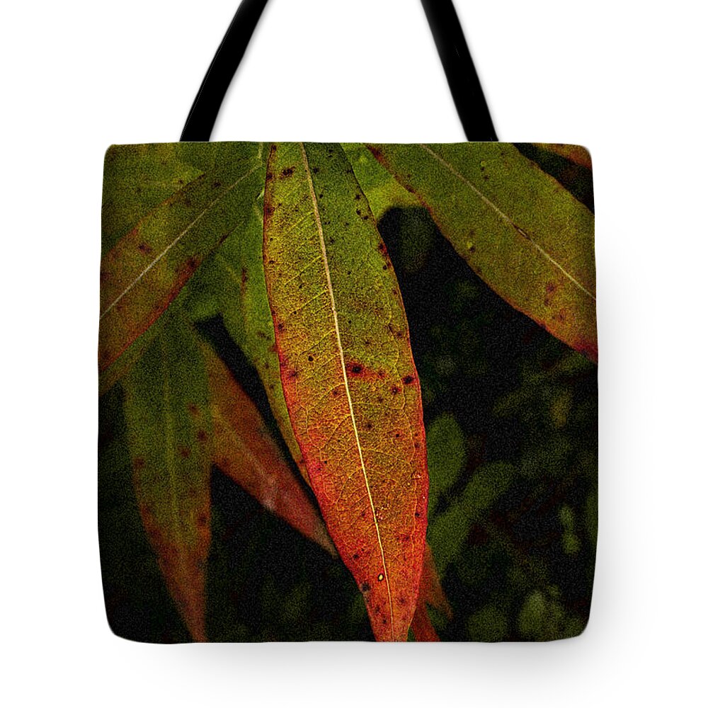 Wildflower Tote Bag featuring the photograph Fall Fireweed 1 by Fred Denner