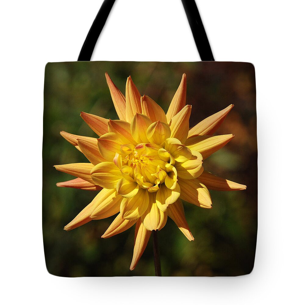 Flower Tote Bag featuring the photograph Fall Flower by Richard Bryce and Family