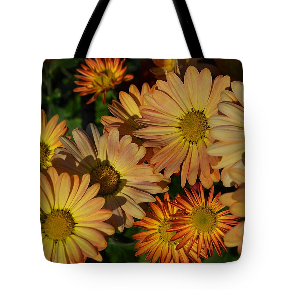 Daisy Tote Bag featuring the photograph Fall Flowers in Madison by Amy Lucid