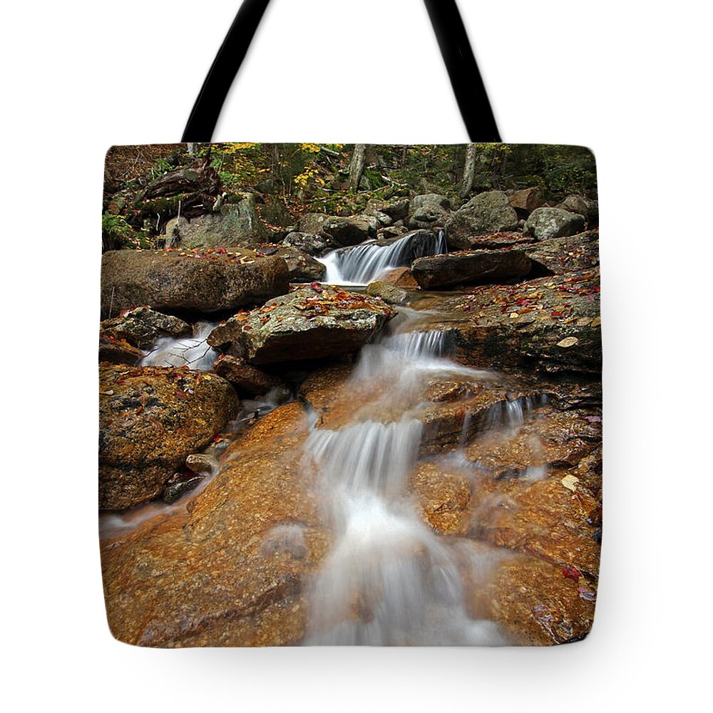 Cascade Brook Tote Bag featuring the photograph Fall Foliage at Cascade Brook by Juergen Roth