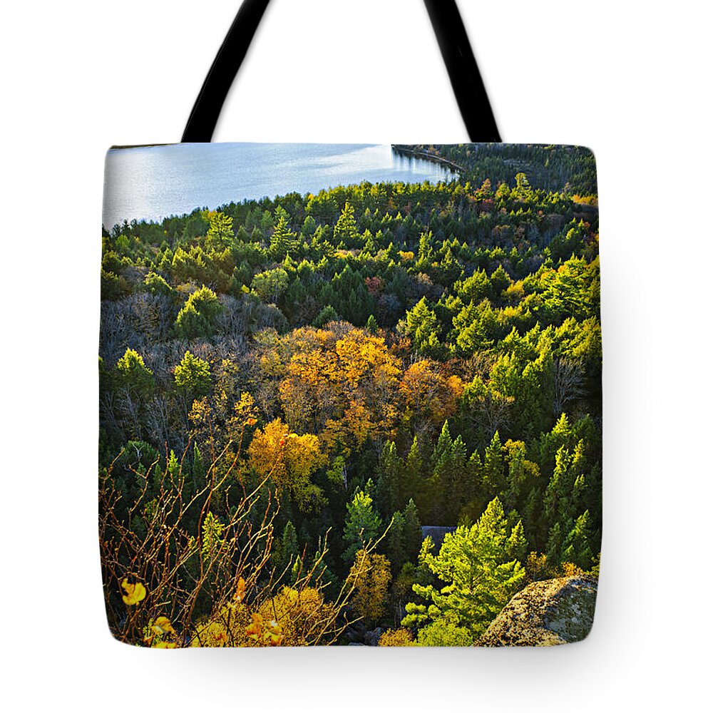 Forest Tote Bag featuring the photograph Fall forest and lake top view by Elena Elisseeva