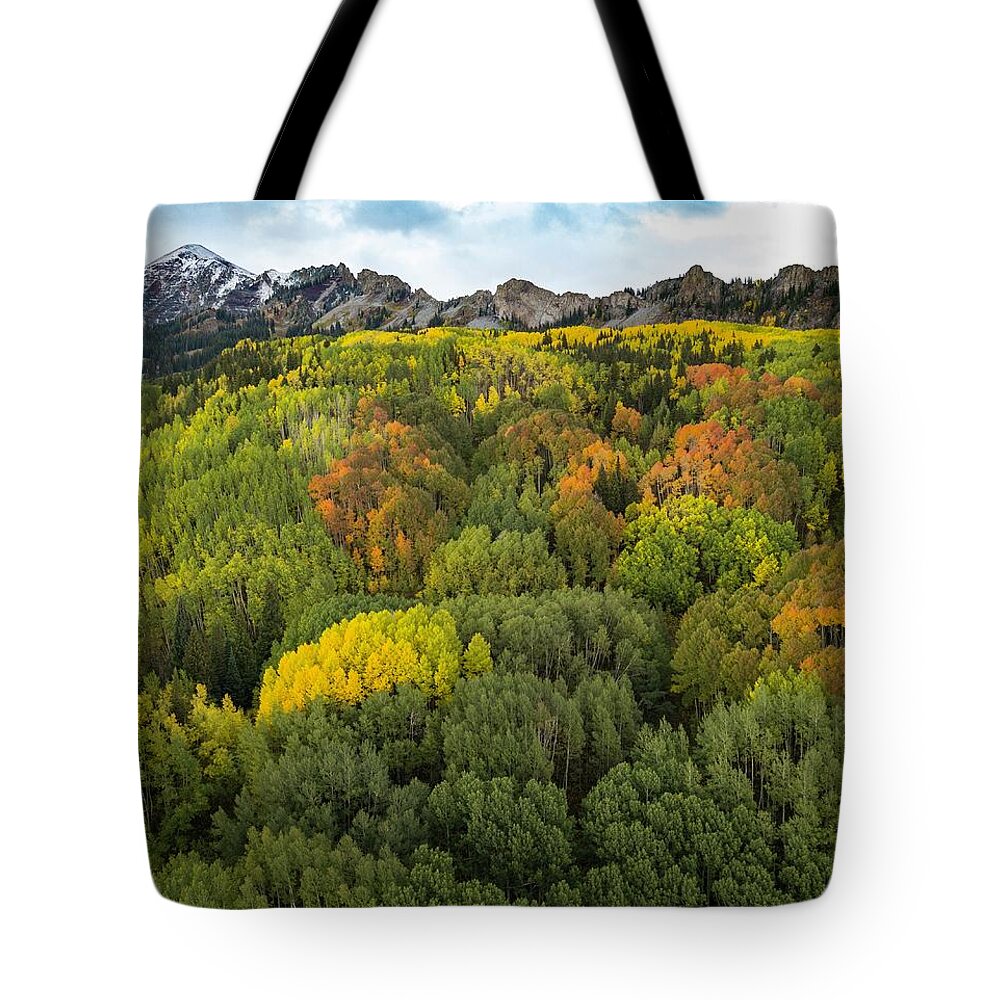 Aspen Tote Bag featuring the photograph Fall in Colorado by Rand Ningali