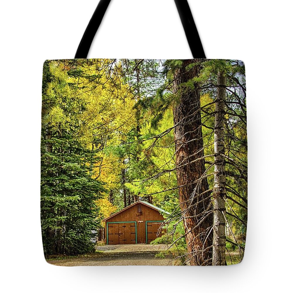 Fall Tote Bag featuring the photograph Fall in the forest by Gaelyn Olmsted