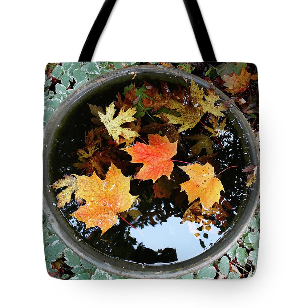 Bird Bath Tote Bag featuring the photograph Fall in the Water by David T Wilkinson