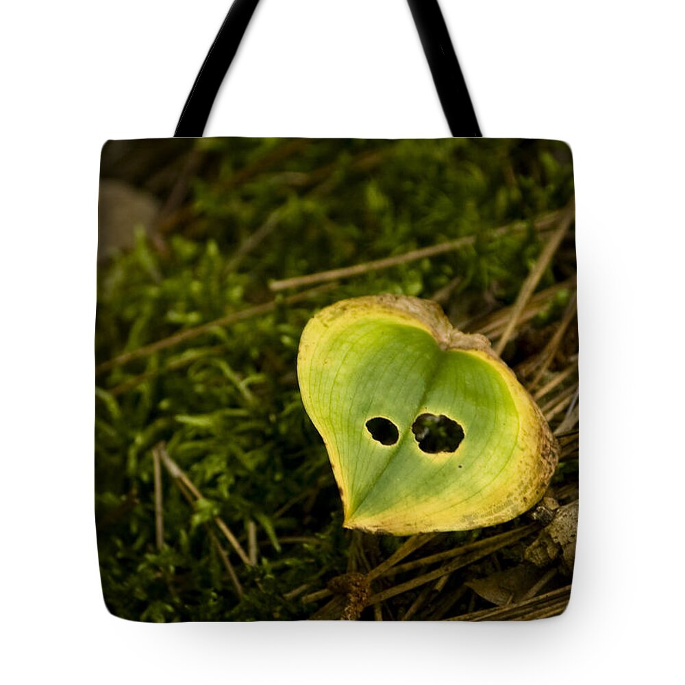 Leaf Tote Bag featuring the photograph Fall Leaf by Cheryl Day