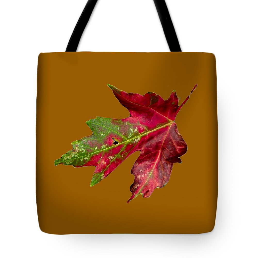 Leaf Tote Bag featuring the photograph Fall Leaf by Judy Hall-Folde