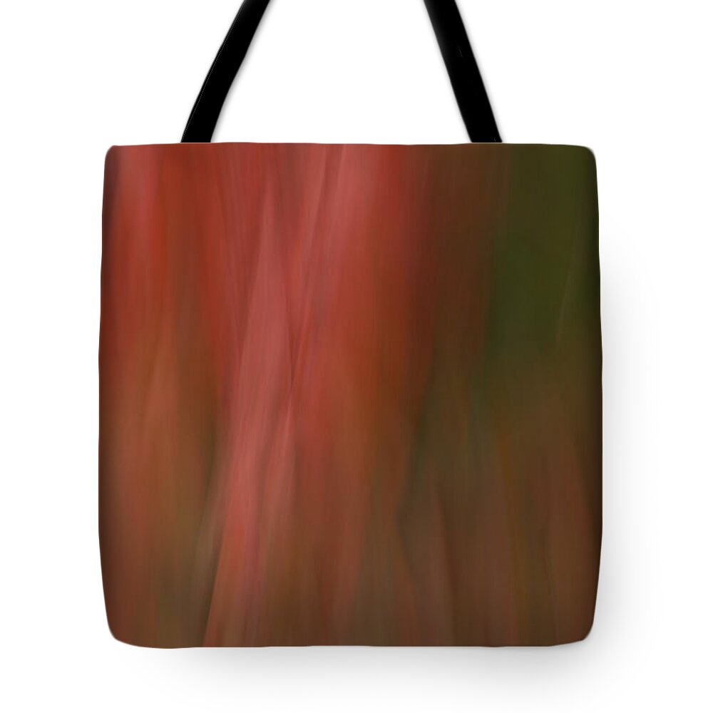 Abstract Tote Bag featuring the photograph Fall Leaves in Abstract by Cheryl Day