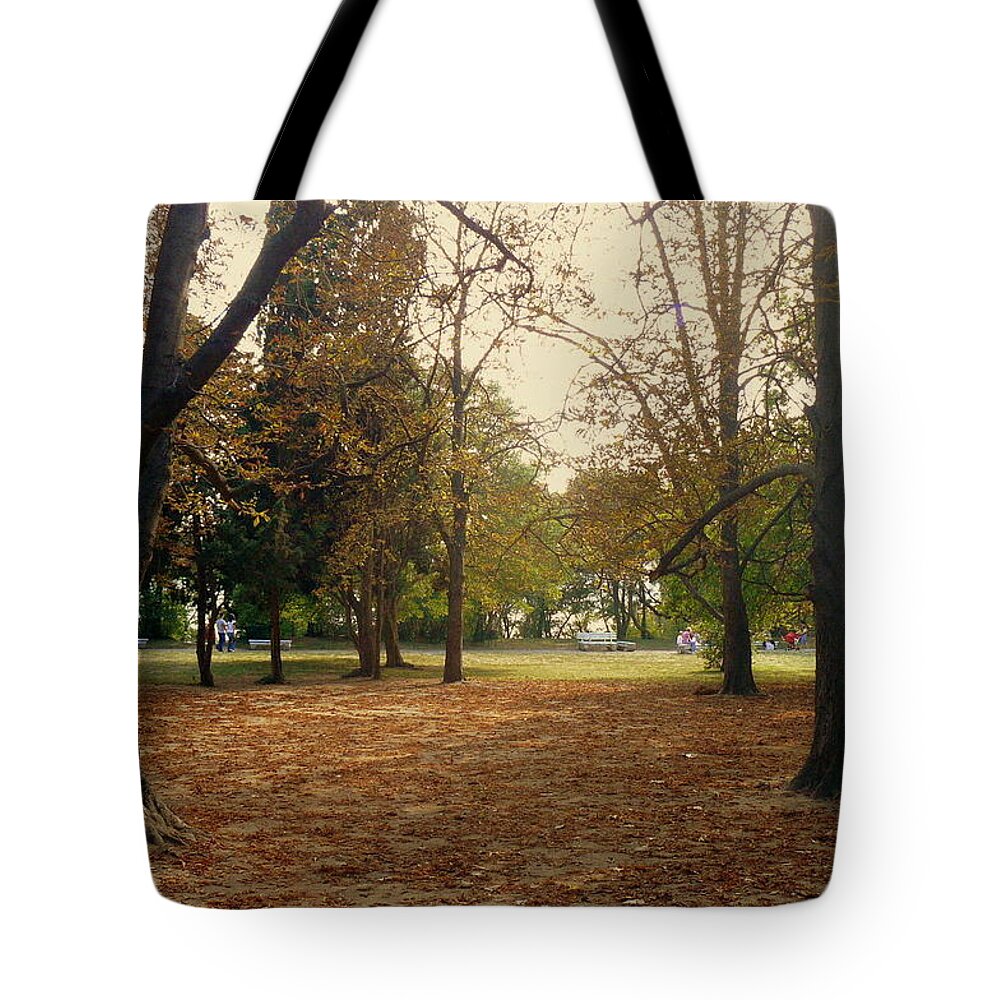 Trees Tote Bag featuring the photograph Fall by Lidia Trifonova