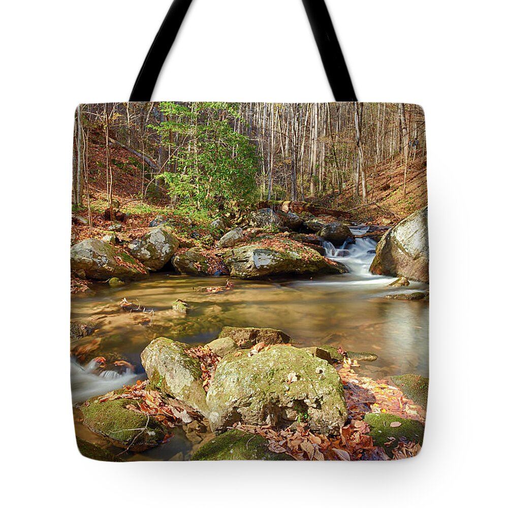 North Georgia Tote Bag featuring the photograph Fall Mountain Stream by Dillon Kalkhurst