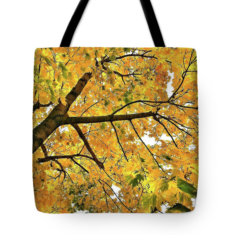 Fall Tote Bag featuring the photograph Fall on William Street by Al Harden