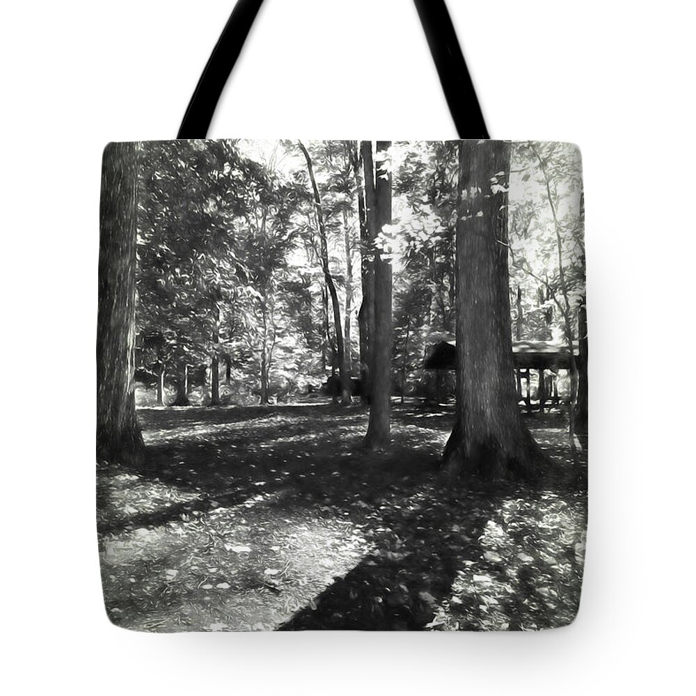 Fall Tote Bag featuring the photograph Fall Picnic Bw Painted by Judy Wolinsky
