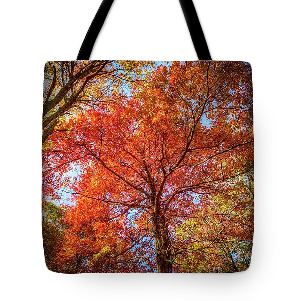 Landscape Tote Bag featuring the photograph Fall Red by Joe Shrader