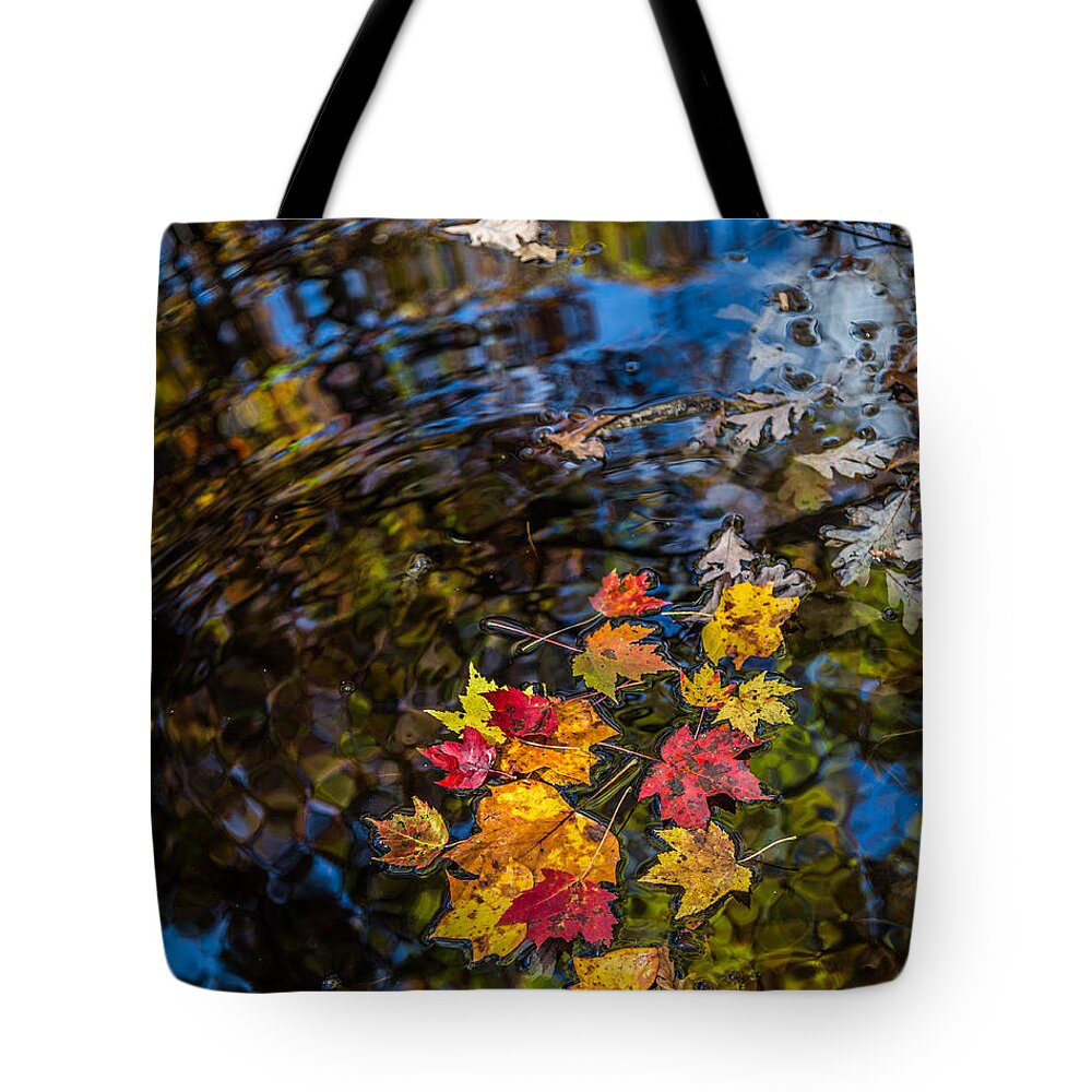 Pisgah National Forest Tote Bag featuring the photograph Fall Reflection - Pisgah National Forest by Donnie Whitaker