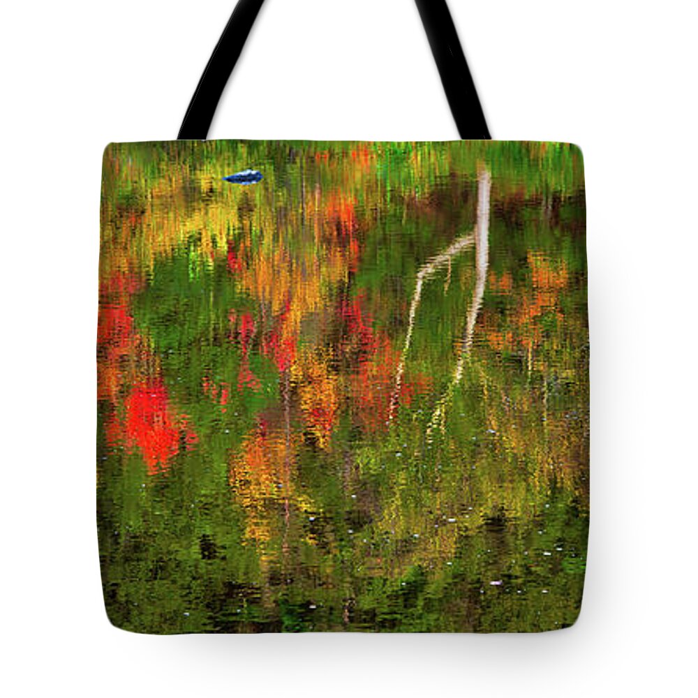Fall Tote Bag featuring the photograph Fall Reflections 2017 by Robert Clifford