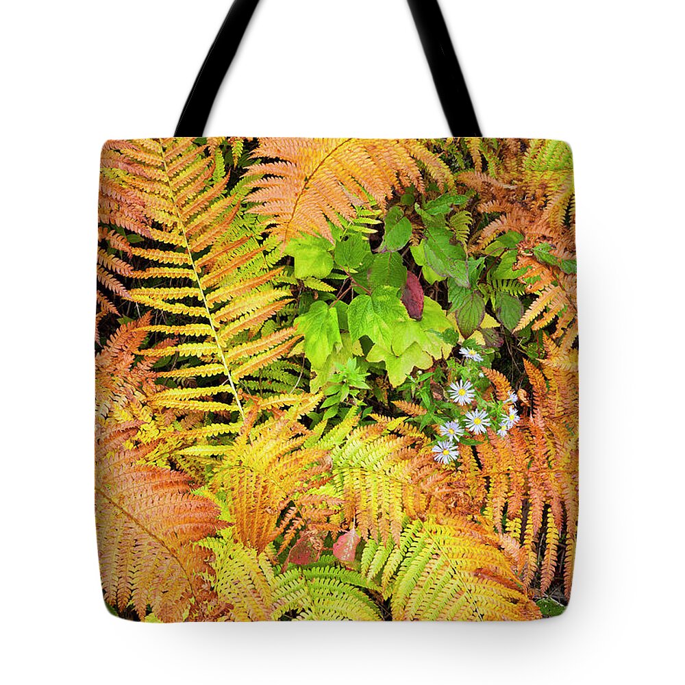 Autumn Tote Bag featuring the photograph Fall Roadside Color by Alan L Graham