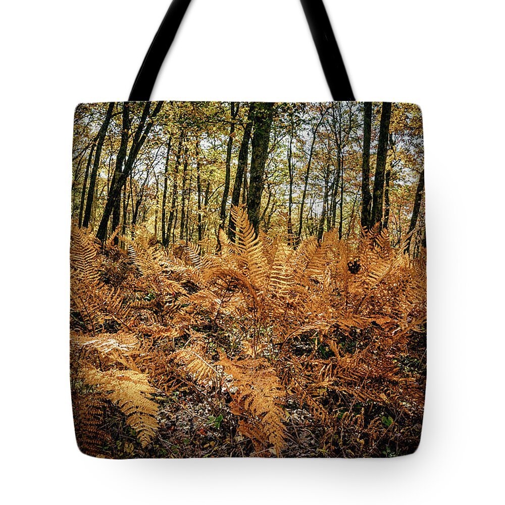 Landscape Tote Bag featuring the photograph Fall Rust by Joe Shrader