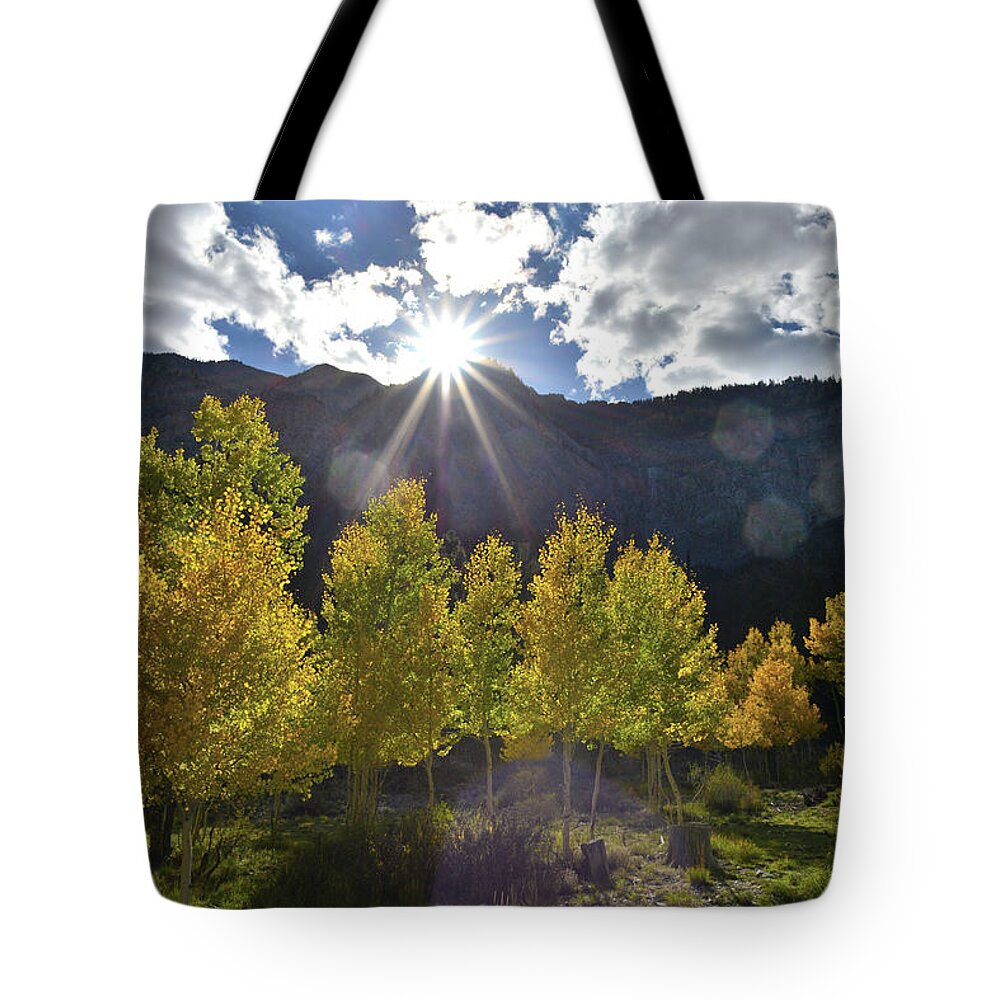 Humboldt-toiyabe National Forest Tote Bag featuring the photograph Fall Sun Setting Over Mt. Charleston by Ray Mathis