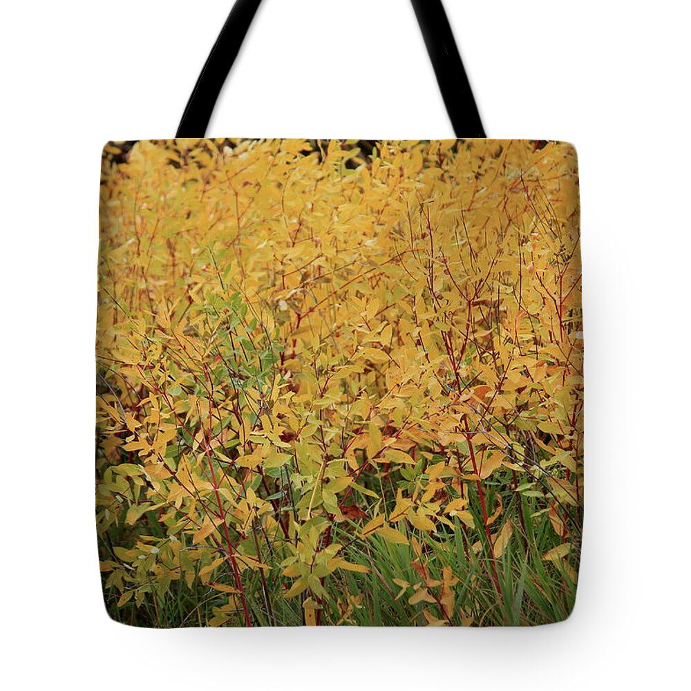 Fall Tote Bag featuring the photograph Fall by Trent Mallett