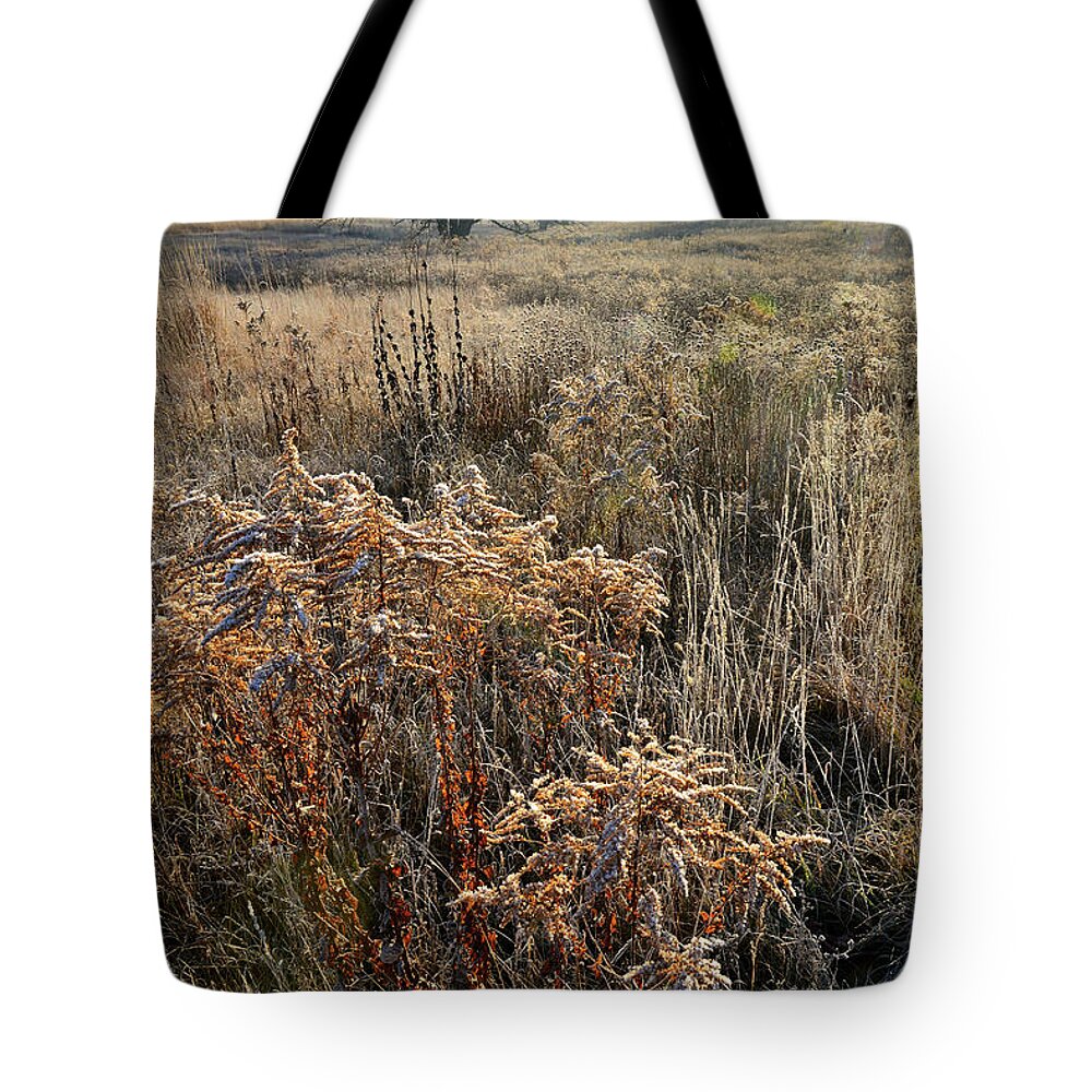 Mchenry County Conservation District Tote Bag featuring the photograph Fall Wildflowers at MCCD's Prairieview Education Center by Ray Mathis