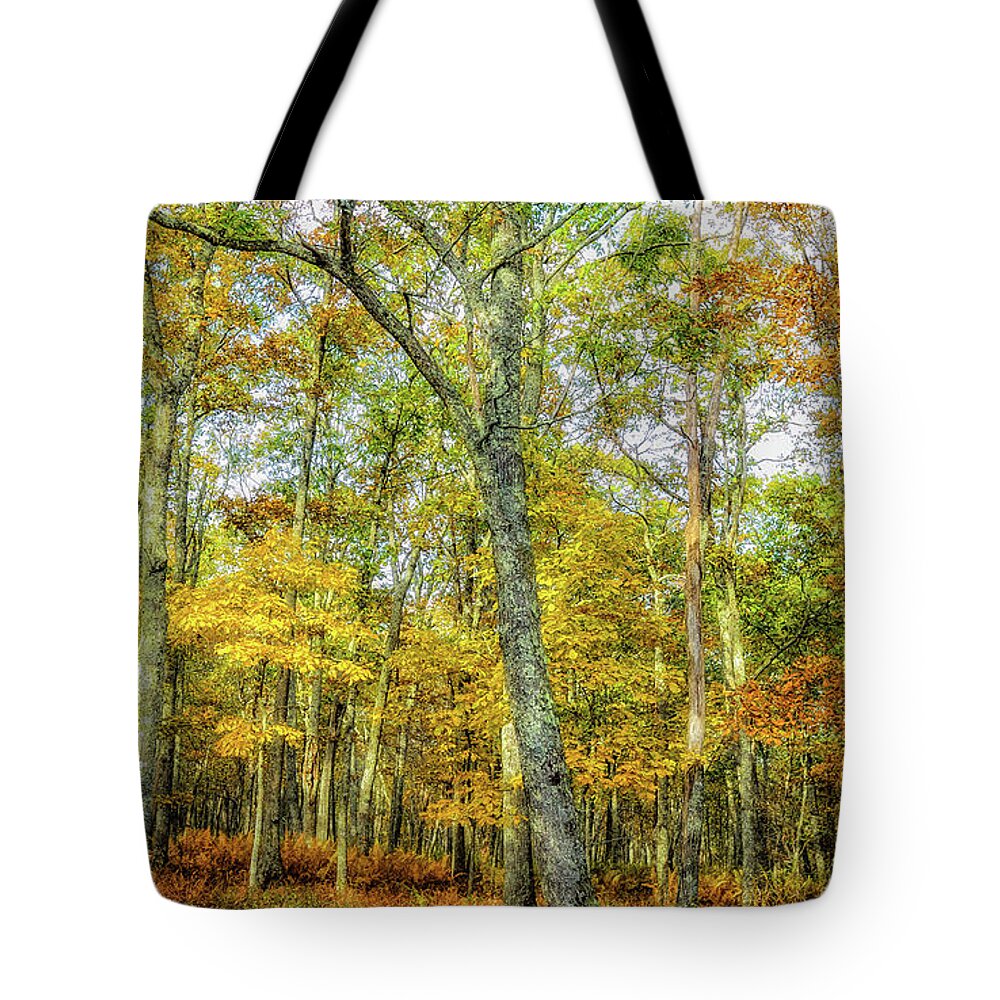 Landscape Tote Bag featuring the photograph Fall Yellow by Joe Shrader