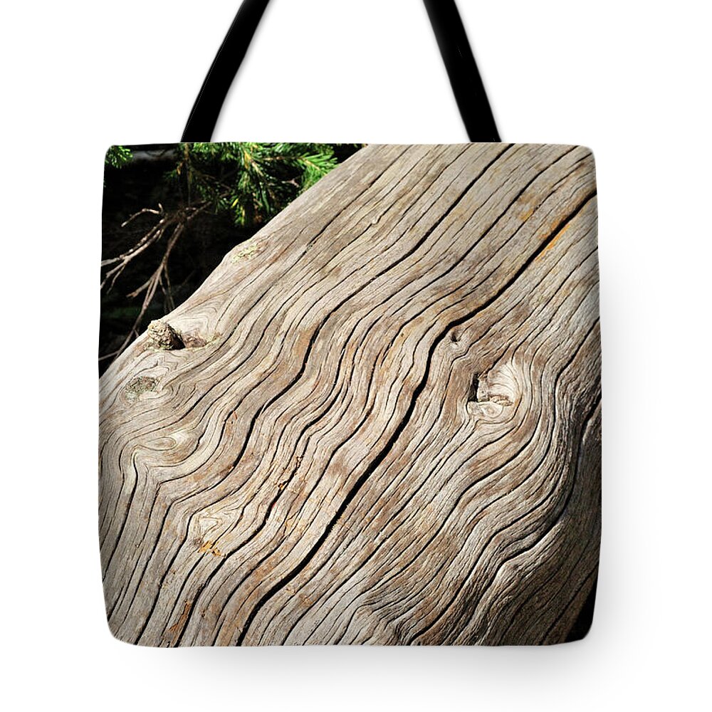Forest Tote Bag featuring the photograph Fallen Fir by Ron Cline