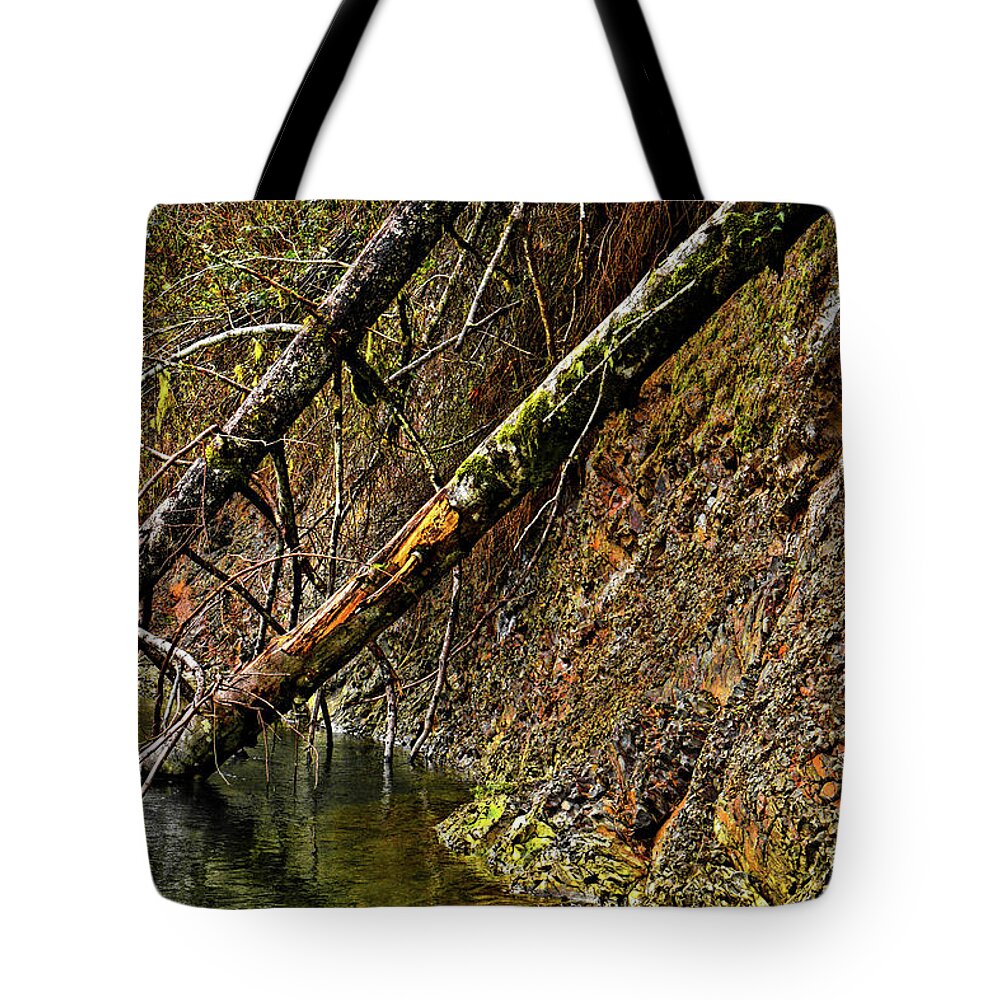 Riverscape Tote Bag featuring the photograph Fallen Friends 2 by Jason Brooks