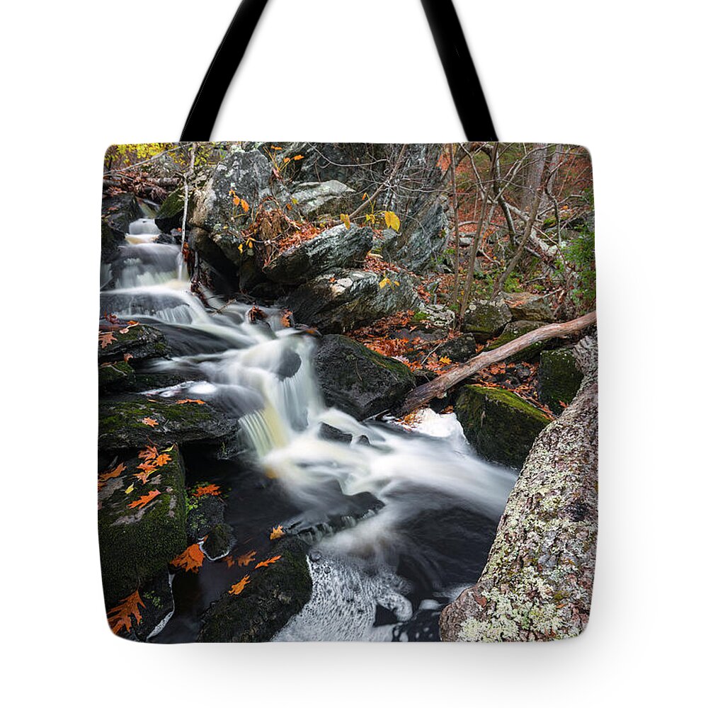 Fall Tree Fallen Leaves Trees Forest Woods Secluded Brook Stream Water River Waterfall Falls Long Exposure Nature Hiking Autumn Brian Hale Brianhalephoto Danforth Hudson Ma Mass Massachusetts Tote Bag featuring the photograph Fallen in Danforth Falls by Brian Hale