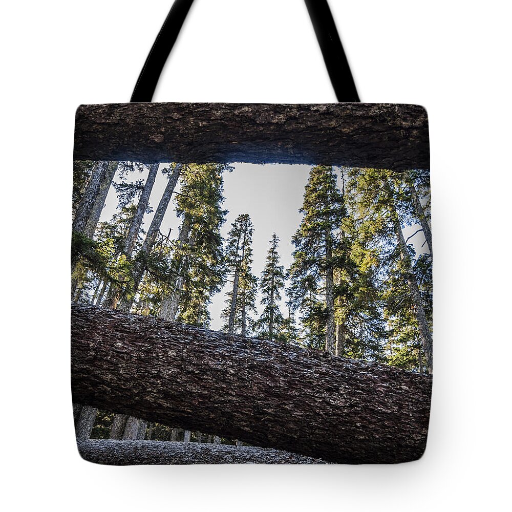 Pacific Tote Bag featuring the photograph Fallen Trees by Pelo Blanco Photo