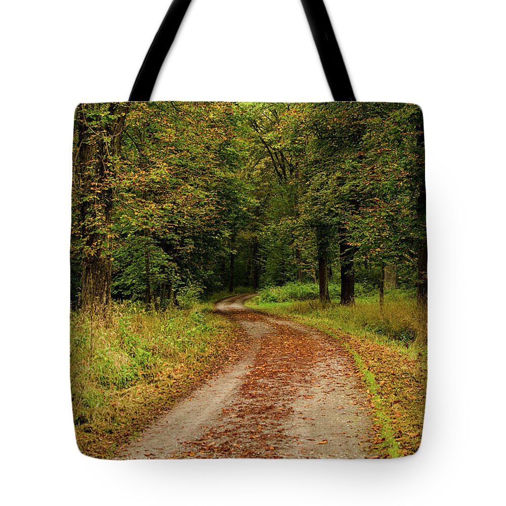 Autumn Tote Bag featuring the photograph Falling Curves by Miguel Winterpacht