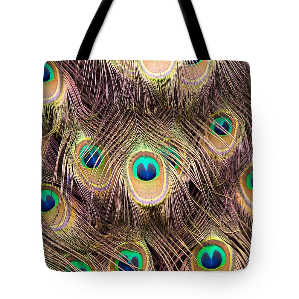 Magnolia Gardens Tote Bag featuring the photograph Fan of Feathers by Joye Ardyn Durham
