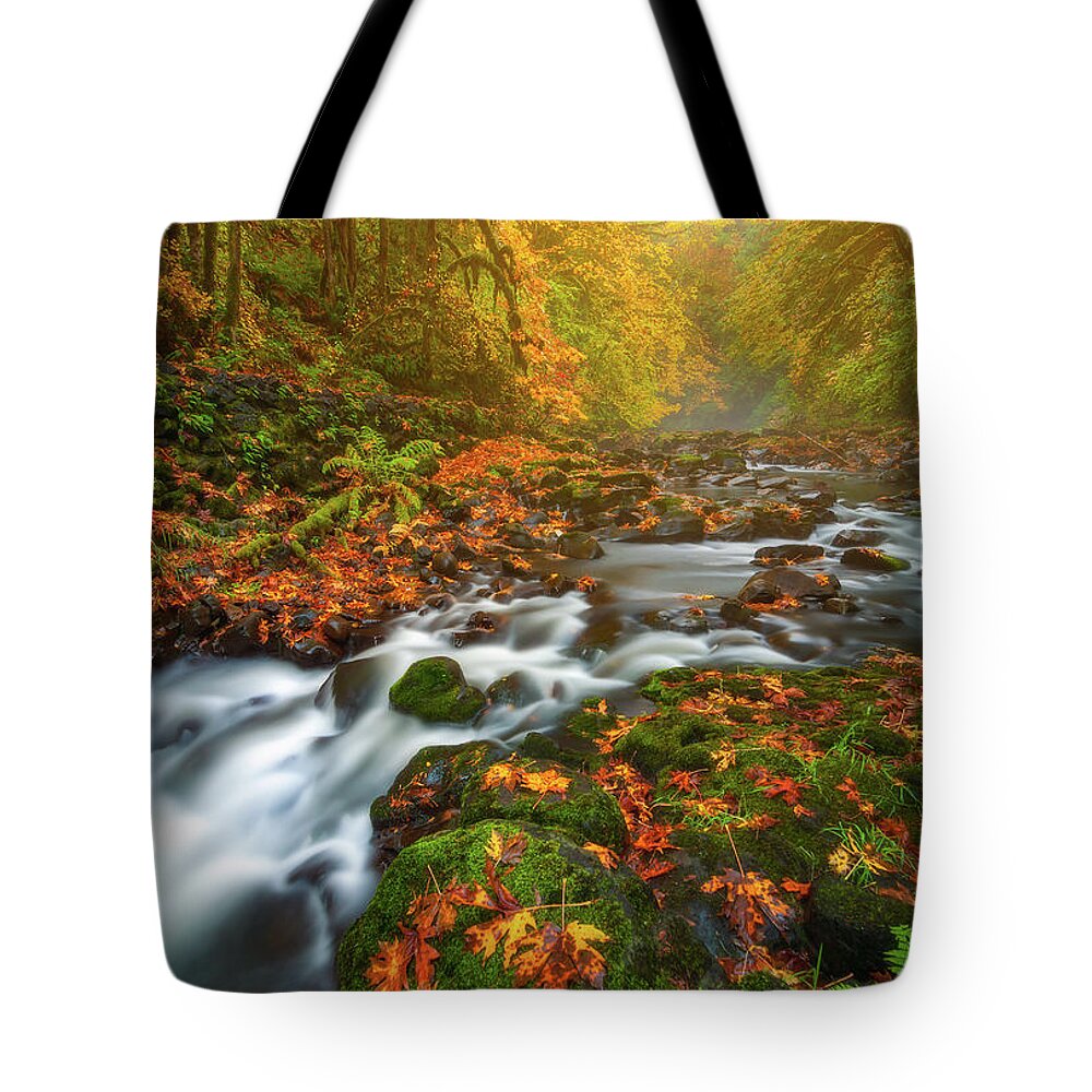 Fall Colors Tote Bag featuring the photograph Fantasies of Fall by Darren White